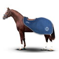 Deka na cvičenie pre kone Artemisia Fleece