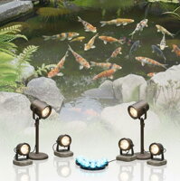 Oświetlenie oczek wodnych | Oświetlenie LED i oświetlenie dekoracyjne do ogrodu