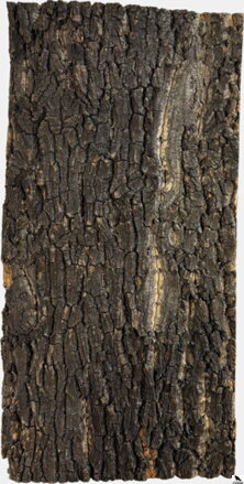 REPTO CORK PLATE 60 X 30 CM