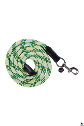 Vodítko -Essentials- s karabínkou 180cm