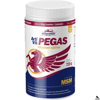 Vitar Veterinae Pegas MSM 720g