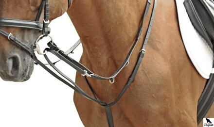 Market Harborough COB /Full