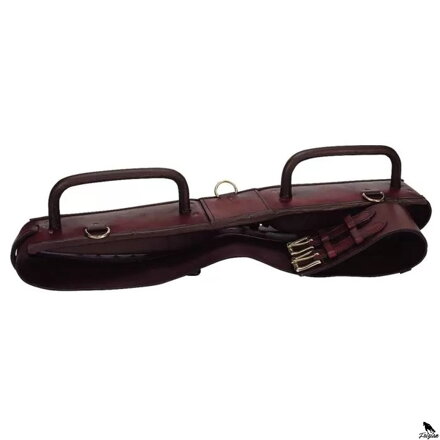 Voltížny skok na 2 ruky