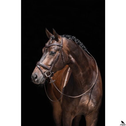 Uzda -Melinda- verzia 2