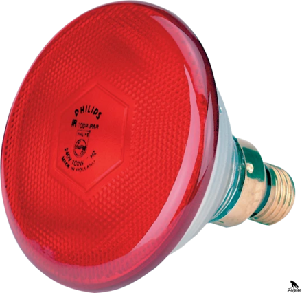 Infračervená úsporná žiarivka 170 W červená Philips