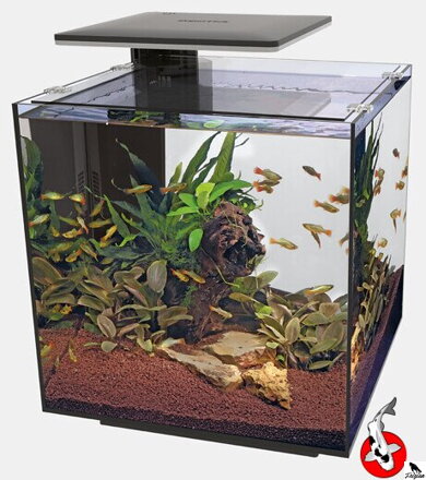 SUPERFISH QUBIQ 60 PRO Č-