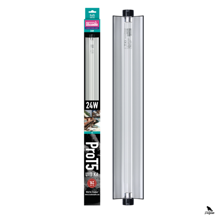 ARCADIA PRO T5 SET DRAGON 14% UVB 24 WATT
