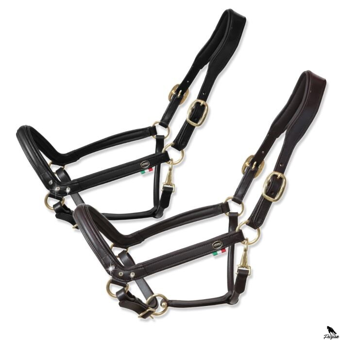 "Tasting Anatomic" Leather Headcollar
