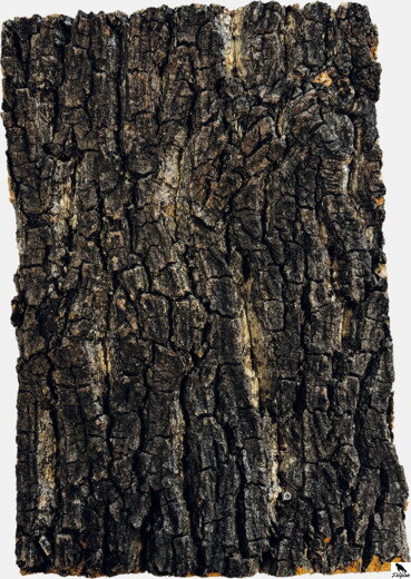 REPTO CORK PLATE 30 X 20 CM