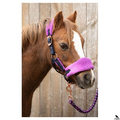 Headcollar and lead LouLou Royce