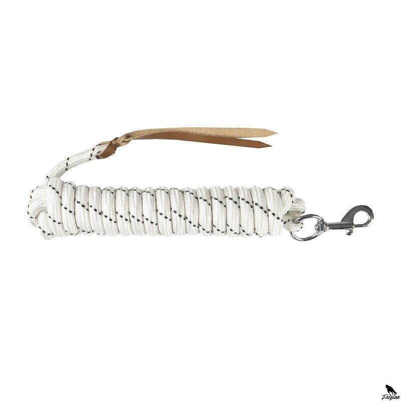HORSEMANSHIP LEAD ROPE 4.2 M