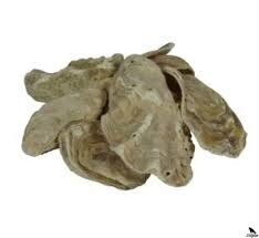 Japán osztrigahéjak 2m3 = 1000kg