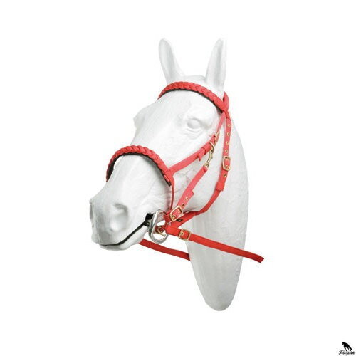 NYLONOVÁ VYTRVALOSTNÁ UZDA HH SPLETOVANÁ GUMOU S OŤAŽAMI