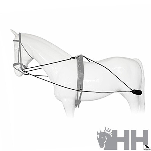 TRÉNINGOVÝ SYSTÉM LEXHIS OSOBNÝ TYP Full