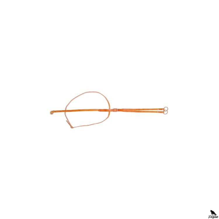 POOL'S SINGLE MARTINGALE