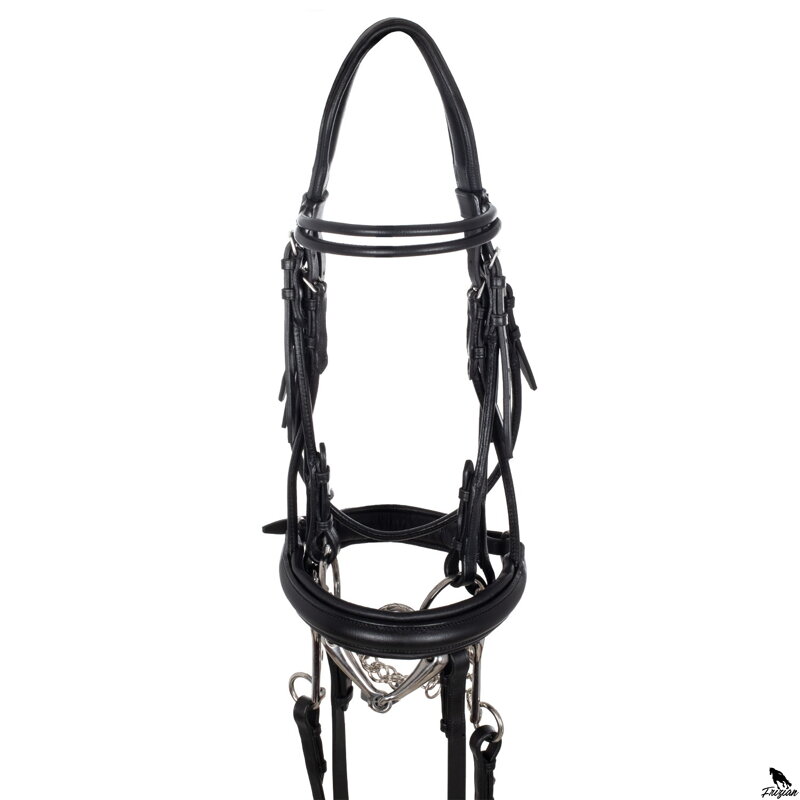 DRESSAGE BRIDLE DOUBLE