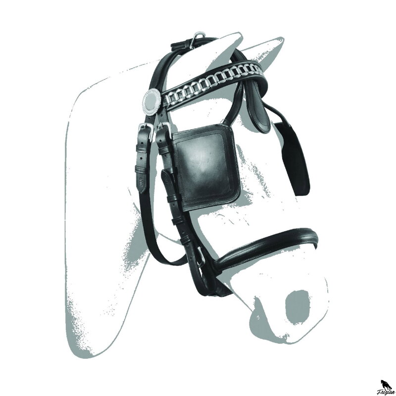 LUXUSNÁ UZDA NA POSTROJ