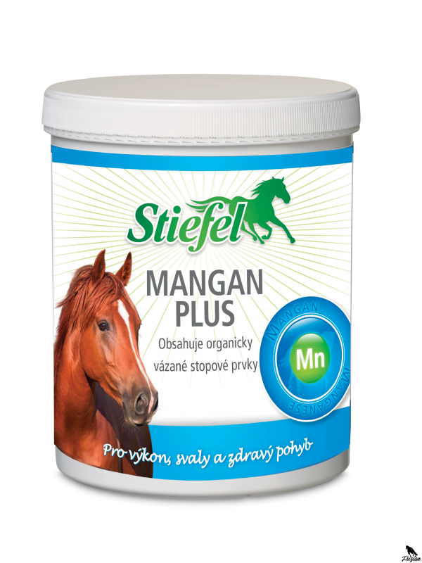 Mangán plus pre zdravie a regeneráciu pohybového aparátu  1 kg