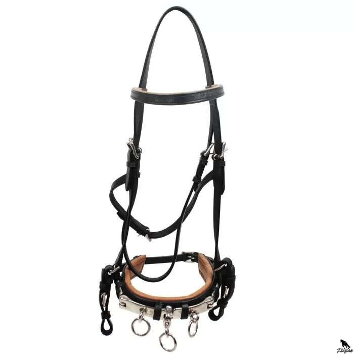 Tréningová ohlávka