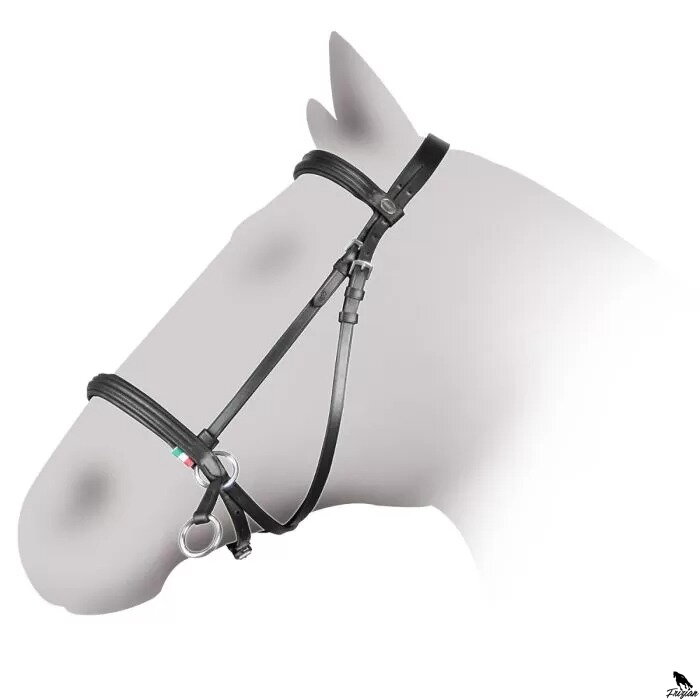 Horses Imperia bez-zubadlová 