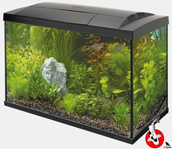 SF START 150 TROPICAL SÚPRAVA ČIERNA