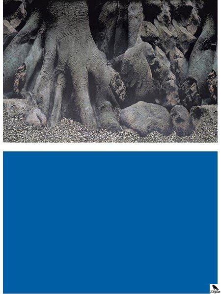 SF DECO POSTER D 100 X 49 CM