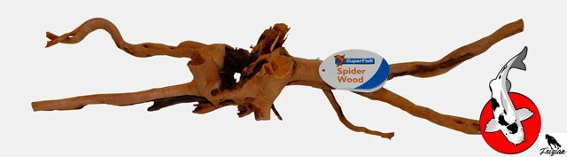 Azalea X-large 50+ cm