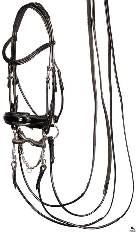 Double uzda Grand Prix