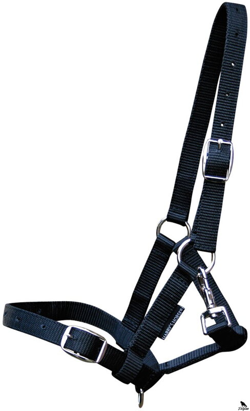 Foal Ohlávka pre žriebä