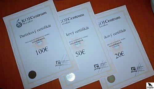 Bon podarunkowy KOIC o wartości 20 €