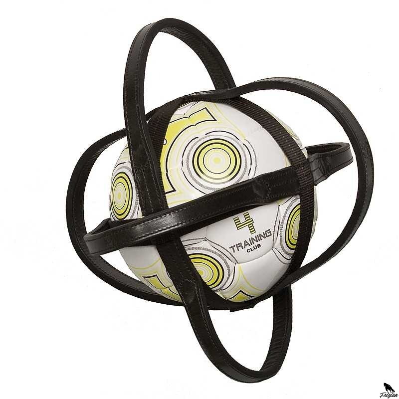 HORSEBALL WEB + BALL 